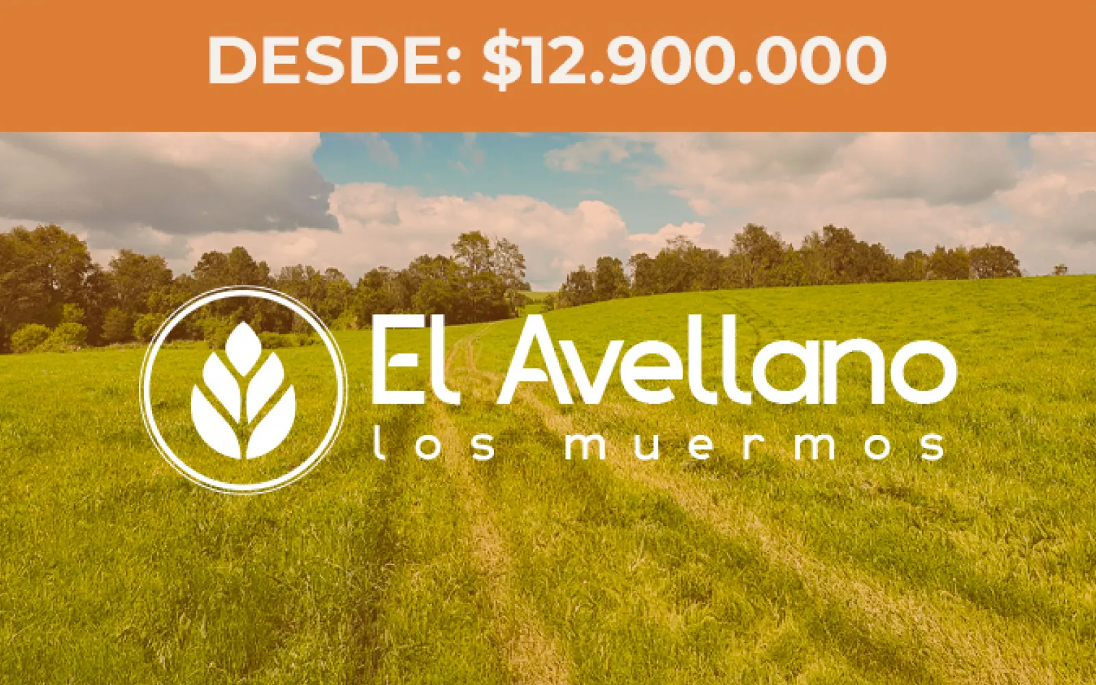 Avellano los muermos